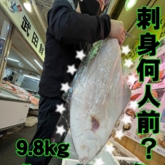 おひょう 9.8kg