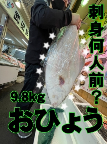 おひょう 9.8kg「おひょう 9.8kg」