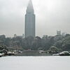 【No.226】　今年初の雪積る１