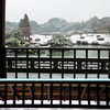 【No.228】　今年初の雪積る２