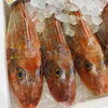 「魚魚市場鮮魚コーナーおすすめは「赤マテ貝・サバ」です♪」