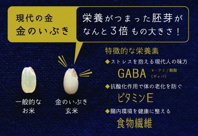 「新米入荷　山形県産　金のいぶき　玄米食専用米　所沢　自家精米　玄米だんご」