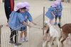 「一日動物園　　親子体操の予約は「空」があります。」