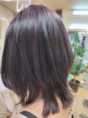 「人気ヘアスタイル　美容室美神本店」