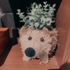 癒し「夢のてです（＾＿＾）☆」
