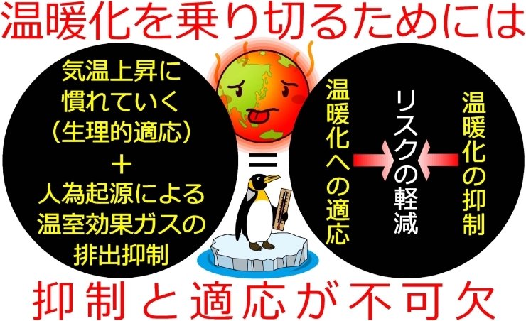 「温暖化への人と建物の適応支援セミナー「遮熱のことを知ろう（温暖化が進み、暑さが厳しさを増すこれからの建物づくりの在り方）」≪個別開催≫のご案内」