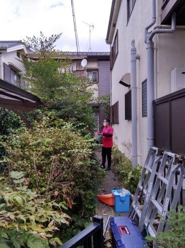 「今日は江戸川区東小岩で枝切り作業です♪キャンペーン実施中！！エアコンクリーニング・枝切り・草むしり・家具移動！この機会に是非ご利用ください！」