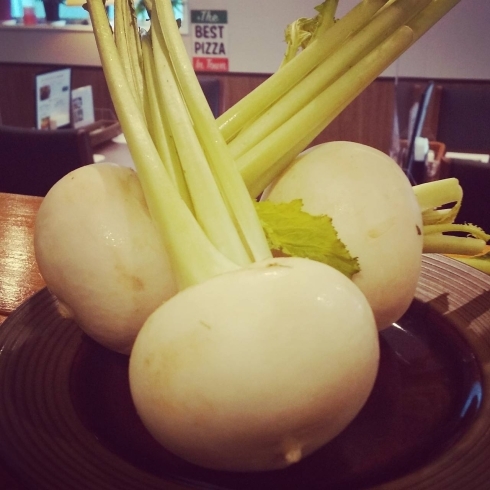 「本日のお任せパスタ
カブとベーコンのペペロンチーノ
//六浦駅近く パスタとピッツァの美味しいお店//」