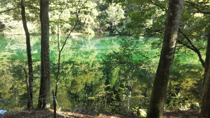 龍ヶ窪の池   中魚沼郡津南町にあります「龍神様がいるという池に行ってきました」