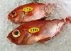 「魚魚市場鮮魚コーナーおすすめは「金目鯛・ノドグロ」です♪」