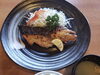 「一魚一会　本日のおすすめランチ」