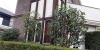 剪定後「庭木の剪定•伐採•草刈り（町田）施工事例」