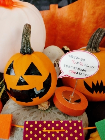ミニかぼちゃくん「ハロウィンランチブッフェ特別企画「ジャンボかぼちゃ重量当てクイズ」」