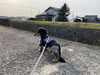 「過ごしやすい季節になりました」