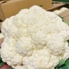 岩手県産　「カリフラワー」