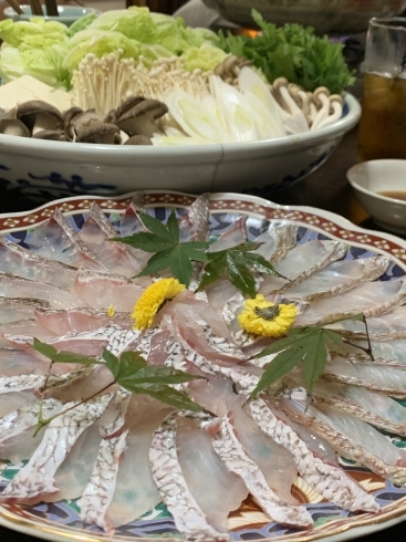 「鯛しゃぶしました✨淡路島、南あわじ市の小料理なかおです✨淡路島の魚、お肉を使用しています✨是非お越しください✨」