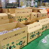 「今年も「ふたごさといも」の季節がキター！！ 岩手県北上市二子(ふたご)地区産　「二子(ふたご)さといも」」
