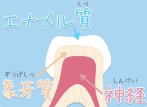 「子供の歯は麦茶でも歯が溶ける！？ #福岡#大野城歯科#むし歯#歯を大切に」