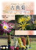 古典菊展ポスター「古典菊展」