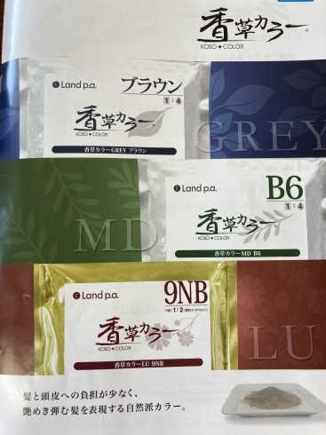 香草カラー始めました「香草カラー.低刺激カラー.那須塩原市美容室」