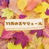 11月のスケジュール「１１月のスケジュール公開しました！【宮崎の料理教室スターズクッキングクラス★】」