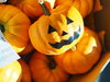 このカボチャは食用ではありません、ごめんなさい。「ハロウィンのフラワーアレンジメント」