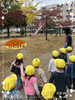 いちょうの葉っぱ♡みーつけた♡「秋み～つけた♡【交野市・小規模保育園】」