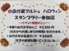 「明治蔵は10月31日開催のおたづき蔵マルシェスタンプラリー参加店です！」