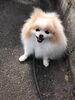 「　英語クラス　生徒募集！」