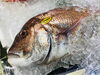 「魚魚市場鮮魚コーナーおすすめは「天然大鯛・タチウオ」です♪」