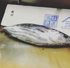「バッチバチの脂‼️戻り鰹‼️」