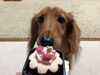 「HAPPY　BIRTH　DAY」