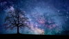 「一番星　　#西の空　#1等星　#こと座　#1番星 #コロナ終息祈願」