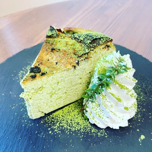 抹茶チーズケーキ「日替りスイーツ」