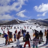 【大分】九重森林公園スキー場