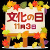 「(塾生及びの親御さん向け)　11月3日(水曜)はお休み + 中学生3年生面談案内配布中」