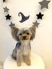  Ｈappy Halloween ふむくん　「Ｈappy  Halloween ^o^」