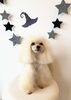 のあちゃん「Ｈappy Halloween ^o^」