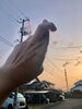 左手「【リハビリ】左手の機能」