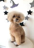 アンちゃん「Ｈappy Halloween ^o^」