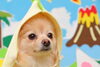 とよりちゃん可愛いです(^▽^)「11月おやすみのご案内」