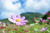 「１０月限定メニュー」