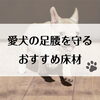 愛犬の足腰を守る おすすめ床材「愛犬の足腰を守る おすすめ床材」