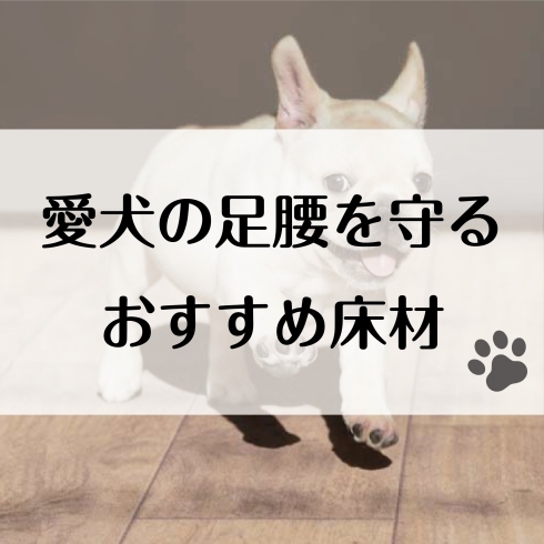 愛犬の足腰を守る　おすすめ床材「愛犬の足腰を守る　おすすめ床材」