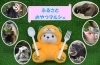 「とべZOO「ふるさとおやつマルシェ」を開催します。(11/2更新)」