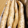 「新物の「長いも」の出荷が始まりましたよー！！ 岩手県産「長いも」」