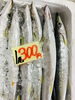 「魚魚市場鮮魚コーナーおすすめは「イトヨリ・カマス」です♪」
