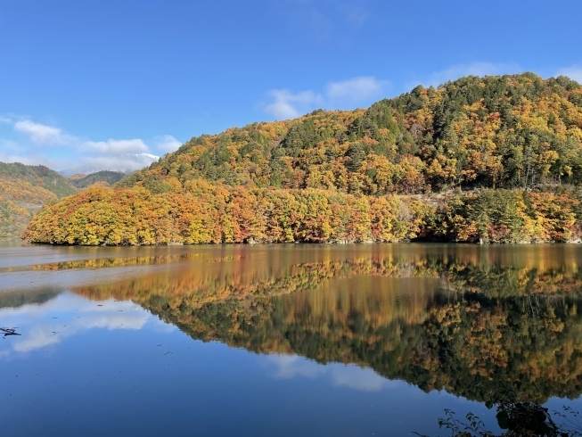 おんたけ湖湖畔から「11月4日 紅葉の様子をお伝えします」
