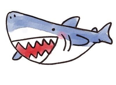 鮫の歯