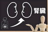 「冬は腎の季節」